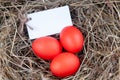 Red eggs with a note in the hay. Mock up, concept easter