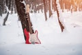 Red electric guitar in the snowy forest. Royalty Free Stock Photo