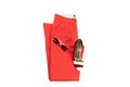 Red elegant woman trousers, an matching elegant female shoe and Royalty Free Stock Photo