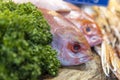 emperor snapper fish with parsley and ice on a counter for sale