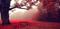 Red enchanted autumn silence