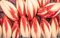 Red endives on the farm market stall. Close up Royalty Free Stock Photo