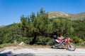 A red enduro motorcycle stands in side of the asphalt road, green nature