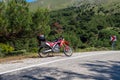 A red enduro motorcycle stands in front of the asphalt road, green nature