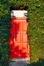 Red entrance door surrounded by ivy Royalty Free Stock Photo