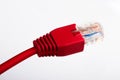 Red Ethernet cable Royalty Free Stock Photo