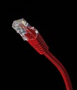 Red Ethernet Cable Royalty Free Stock Photo