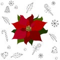 Red Euphorbia.Christmas flower.Decoration. Royalty Free Stock Photo