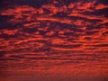 Red evening sky. Colorful cloudy sky at sunset. Sky texture, abstract nature background Royalty Free Stock Photo