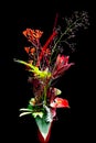 Red exotic flower bouquet isolated on black background Royalty Free Stock Photo