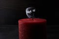 Red extinguished candle with smoke trailing off the wick on black background Royalty Free Stock Photo