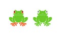 Red eye frog. Tree frog. Isolated frog on white background Royalty Free Stock Photo