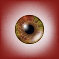 Red Eye. Scary Bloody Realistic Eyeballs. Spooky Human Eyeball With Grunge Blood Splatter. Vector Royalty Free Stock Photo