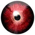 Red eye texture isolated on white background