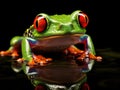 Ai Generated illustration Wildlife Concept of Red Eye Tree Frog Royalty Free Stock Photo