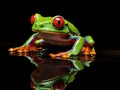 Ai Generated illustration Wildlife Concept of Red Eye Tree Frog Royalty Free Stock Photo