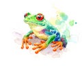 Red Eyed Green Tree Frog Watercolor Nature Illustration Hand Painted