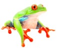 Red eyed monkey tree frog