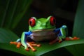 Red-eyed tree frog sitting on green leaves. Generative AI Royalty Free Stock Photo