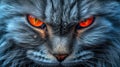 Red eyes Angry cat closeup. The cat growls. Royalty Free Stock Photo