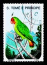 Red-faced Lovebird (Agapornis pullaria), Birds serie, circa 1993