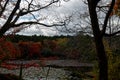 Red Fall foliage leaf colours near the pond with tree reflection in water. Landscape of beautiful garden before sunset Royalty Free Stock Photo