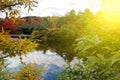 Red Fall foliage leaf colours near the pond with tree reflection in water. Landscape of beautiful garden before sunset Royalty Free Stock Photo