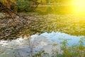 Red Fall foliage leaf colours near the pond with tree reflection in water. Landscape of beautiful garden before sunset Royalty Free Stock Photo