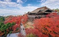 Red fall leaves at Kiyomizu-dera temple in Kyoto, Japan Royalty Free Stock Photo