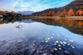 Peaceful landscape view of clear blue lake and autumn trees