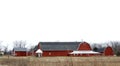 Red gambrel roof farm barns in FingerLakes countryside Royalty Free Stock Photo