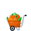 Red farmer cart with vegetables