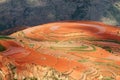 Red farmland ,dongchuan,yunnan,china Royalty Free Stock Photo