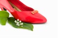 Red fashion shoe