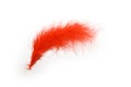 Red feather