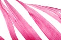 Red feather abstract texture Royalty Free Stock Photo