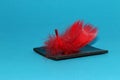 red feather on black detail on blue background Royalty Free Stock Photo