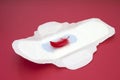 Red feather, daily, menstrual woman pad for hygiene or blood period. Menstruation sanitary soft pad, hygiene protection. Woman cri