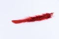 A red feather on a white background