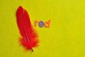 A red feather with the word red Royalty Free Stock Photo