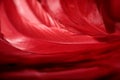 Red feathers macro shot