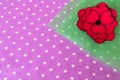 Red felt flower on a green and purple background