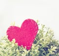 Red felt heart with green floral plant, template for valentine`s day Royalty Free Stock Photo
