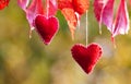 Red felt hearts hanging on strings. Beautiful wedding background. Valentines Royalty Free Stock Photo