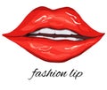 Realistic, red lips isolated on a white background. women`s kiss, hand-drawn, in the style of doodling. fashionable vector