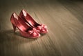 Red female shoes Royalty Free Stock Photo