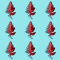 Red fern leaf on a turquoise background, top view, seamless leafy pattern with a hard light Royalty Free Stock Photo