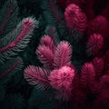 Red fern leaves. Pine branches on dark backdrop of young pine forest.