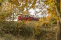 Red Fiat tipo in the wild