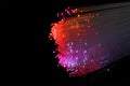 Red Fiber Optic Royalty Free Stock Photo